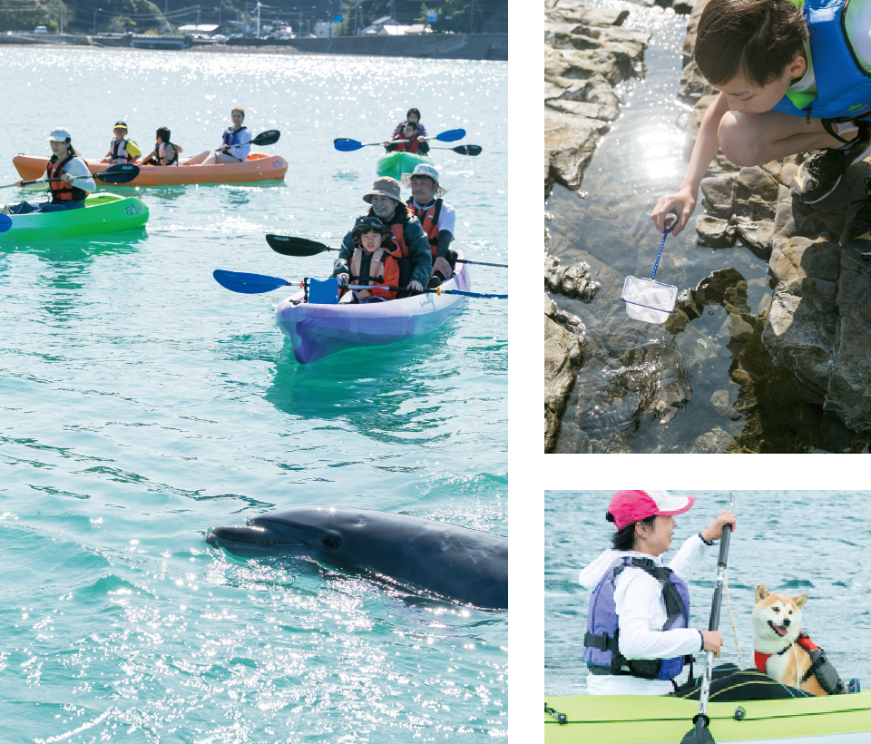 レギュラーコース